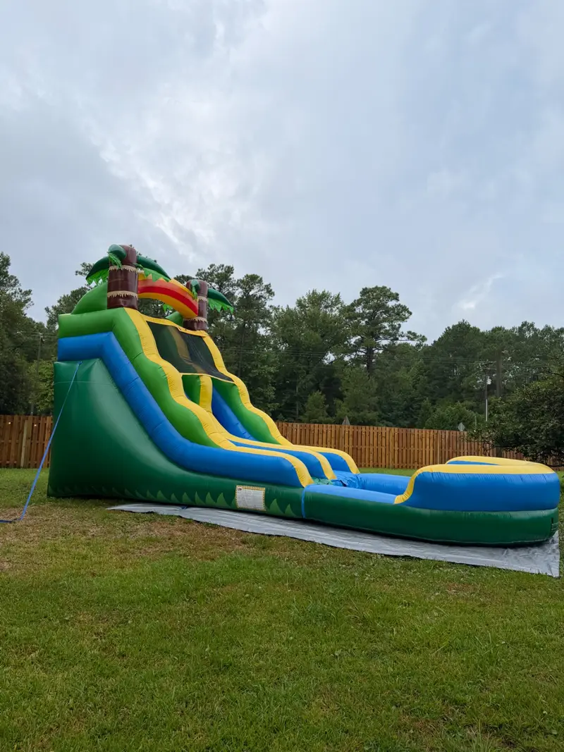 Tropical Slide — photo 2